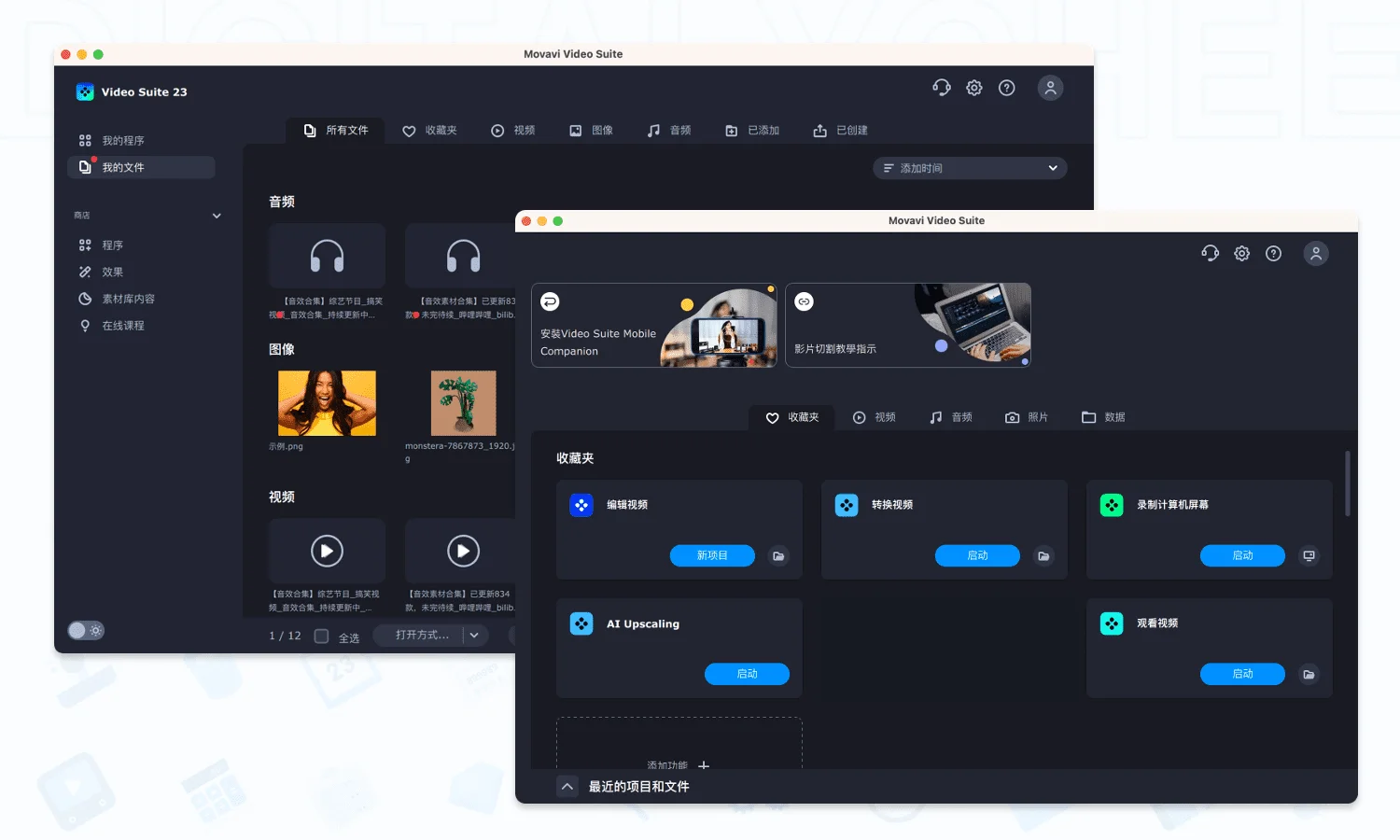 Movavi Video Suite 2026